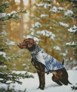 German Shorthaired Pointer In Snow Diamond Painting