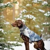 German Shorthaired Pointer In Snow Diamond Painting