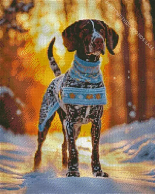 German Shorthaired Pointer With Sunset Diamond Painting