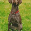 German Shorthaired Puppy Diamond Painting