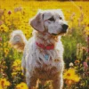 Golden Retriever Puppy Diamond Painting