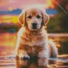 Golden Retriever Swimming Diamond Painting