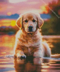 Golden Retriever Swimming Diamond Painting