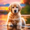 Golden Retriever Swimming Diamond Painting