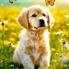 Golden Retriever With Butterflies Diamond Painting