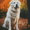 Great Pyrenees In Autumn Leaves Diamond Painting