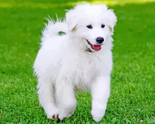 Great Pyrenees Puppy Diamond Painting