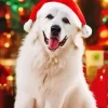 Great Pyrenees With Santa Hat Diamond Painting