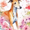 Greyhound In Flowers Diamond Painting