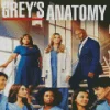 Greys Anatomy Characters Poster Diamond Painting