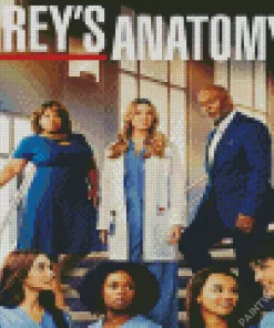 Greys Anatomy Characters Poster Diamond Painting