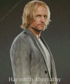 Haymitch Abernathy Poster Diamond Painting