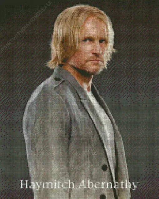 Haymitch Abernathy Poster Diamond Painting