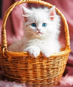 Himalayan Cat In A Basket Diamond Painting