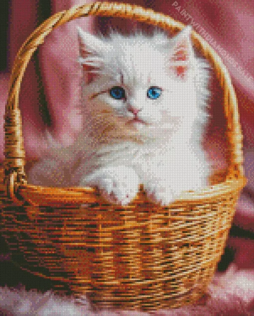 Himalayan Cat In A Basket Diamond Painting