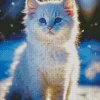 Himalayan Kitten Diamond Painting