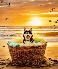 Husky Dog In The Beach Diamond Painting