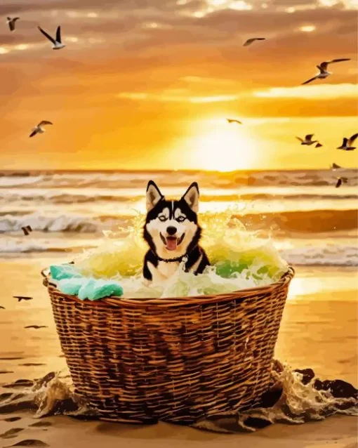 Husky Dog In The Beach Diamond Painting