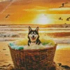 Husky Dog In The Beach Diamond Painting