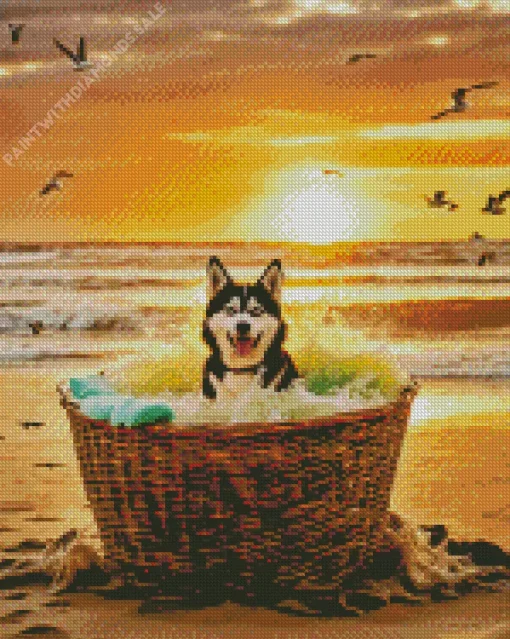 Husky Dog In The Beach Diamond Painting