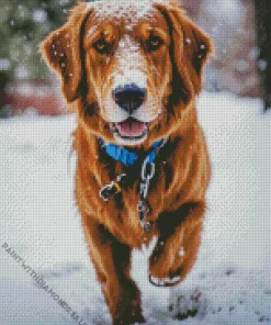 Irish Setter Dog In Snow Diamond Painting