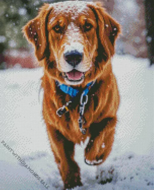 Irish Setter Dog In Snow Diamond Painting