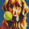 Irish Setter Dog With Tennis Ball Diamond Painting