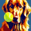 Irish Setter Dog With Tennis Ball Diamond Painting