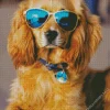 Irish Setter Puppy With Sunglasses Diamond Painting