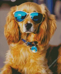 Irish Setter Puppy With Sunglasses Diamond Painting