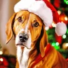 Irish Setter With Santa Hat Diamond Painting