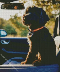 Labradoodle Dog In Car Diamond Painting