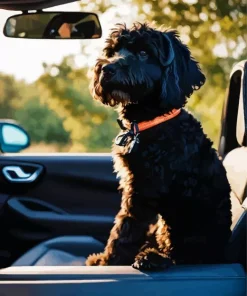 Labradoodle Dog In Car Diamond Painting