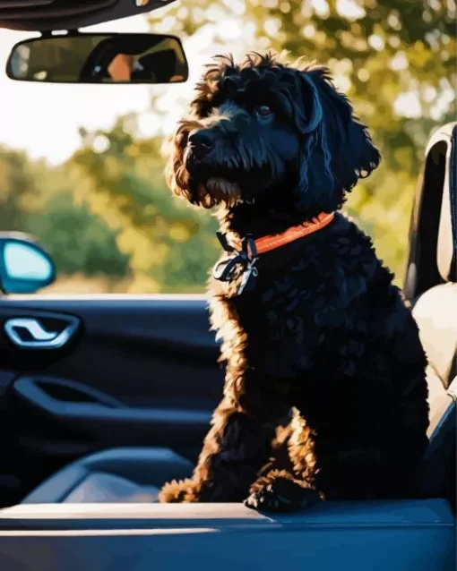 Labradoodle Dog In Car Diamond Painting