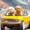 Labradoodle Dogs Driving Diamond Painting