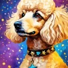 Labradoodle With Stars Diamond Painting