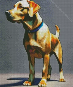 Labrador Retriever Dog Diamond Painting