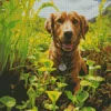 Labrador Retriever In A Garden Diamond Painting