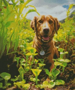 Labrador Retriever In A Garden Diamond Painting