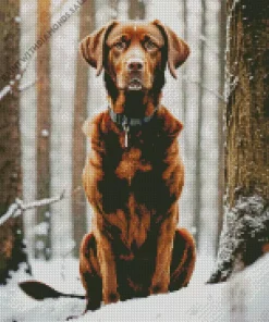 Labrador Retriever In A Snowy Forest Diamond Painting