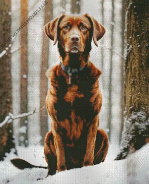 Labrador Retriever In A Snowy Forest Diamond Painting