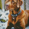 Labrador Retriever In Snow Diamond Painting