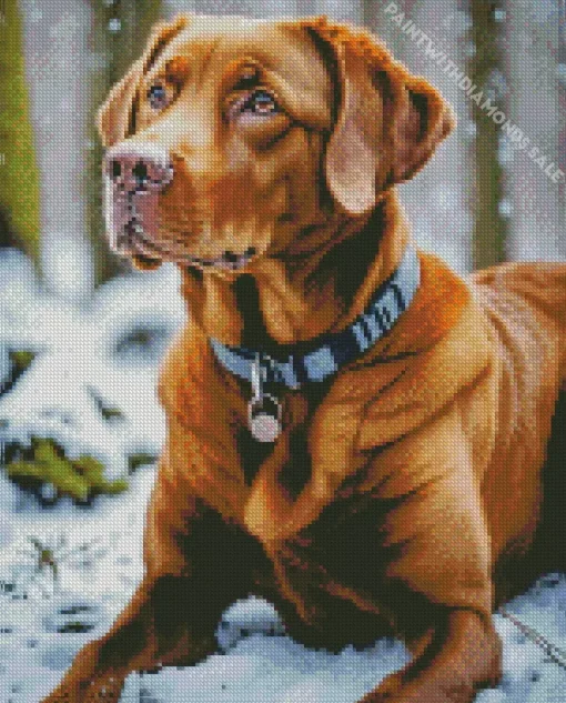 Labrador Retriever In Snow Diamond Painting