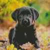 Labrador Retriever Puppy Diamond Painting