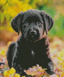 Labrador Retriever Puppy Diamond Painting