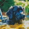 Labrador Retriever Swimming Diamond Painting