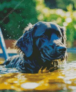 Labrador Retriever Swimming Diamond Painting