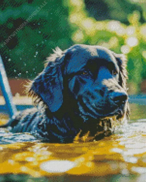 Labrador Retriever Swimming Diamond Painting