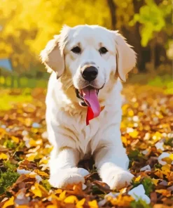 Labrador Retriever With Autumn Leaves Diamond Painting