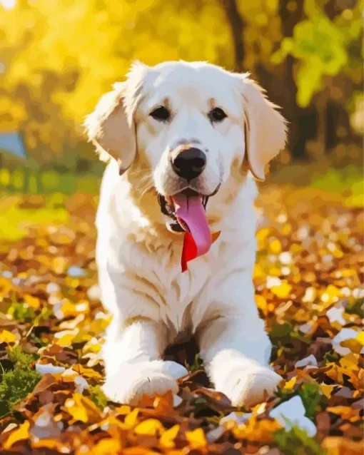 Labrador Retriever With Autumn Leaves Diamond Painting